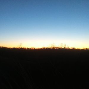 Meet your Posher, Fauna